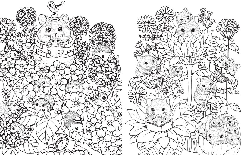 Sample content 3_A Million Baby Animals