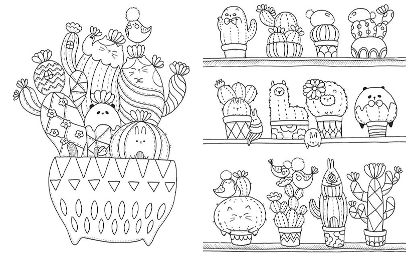 Sample content_A Million Cute Animals