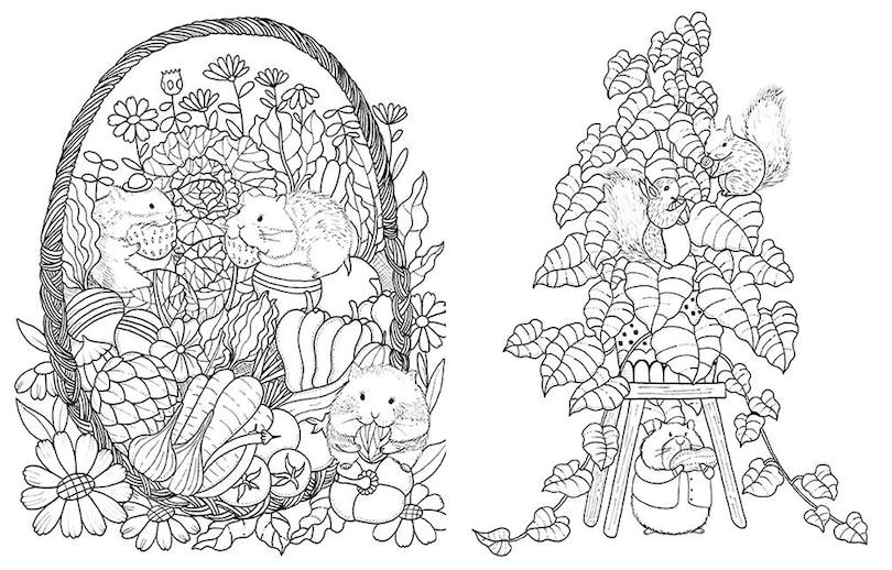 Sample content 3_A Million Cute Animals