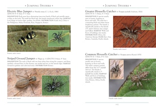 Aper&ccedil;u du contenu_A Naturalist's Guide to the Spiders of Borneo