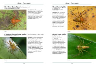 Aper&ccedil;u du contenu 2_A Naturalist's Guide to the Spiders of Borneo