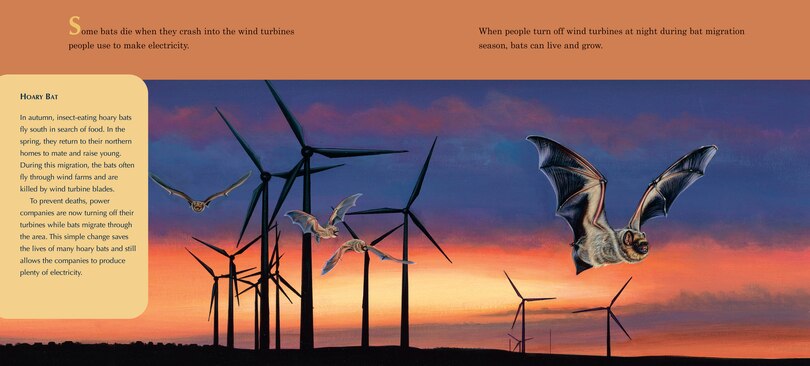 Sample content_A Place for Bats (Third Edition)