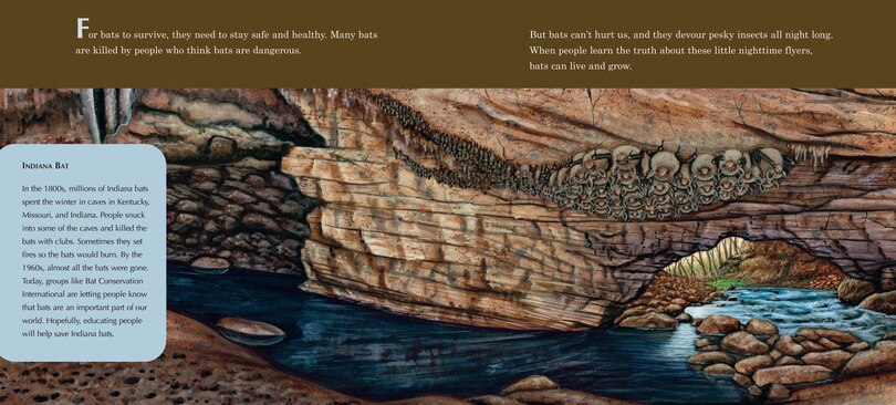Sample content 2_A Place for Bats (Third Edition)