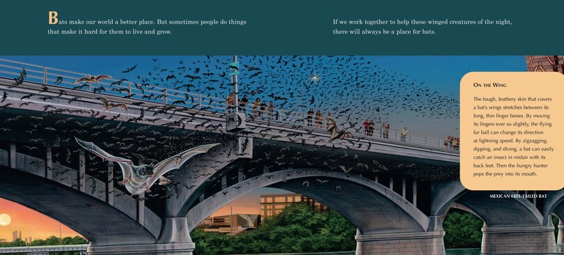 Sample content 3_A Place for Bats (Third Edition)