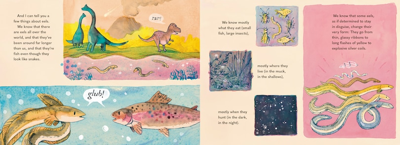 Aper&ccedil;u du contenu 4_A Riddle of Eels