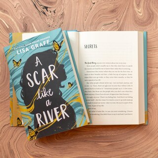 Aper&ccedil;u du contenu 2_A Scar Like a River