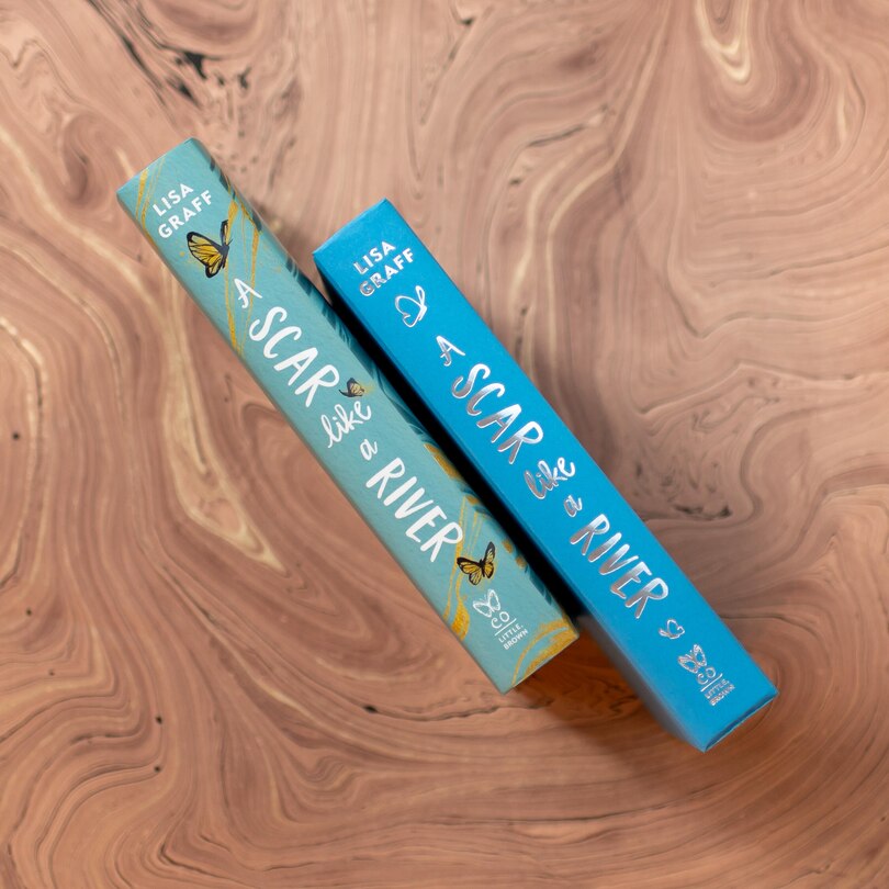 Aper&ccedil;u du contenu 5_A Scar Like a River