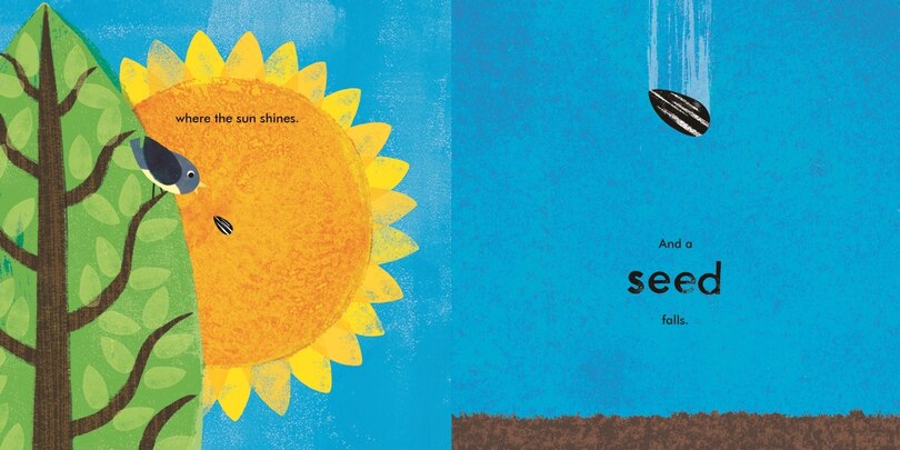 Sample content_A Seed Grows