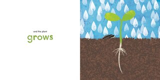 Sample content 3_A Seed Grows