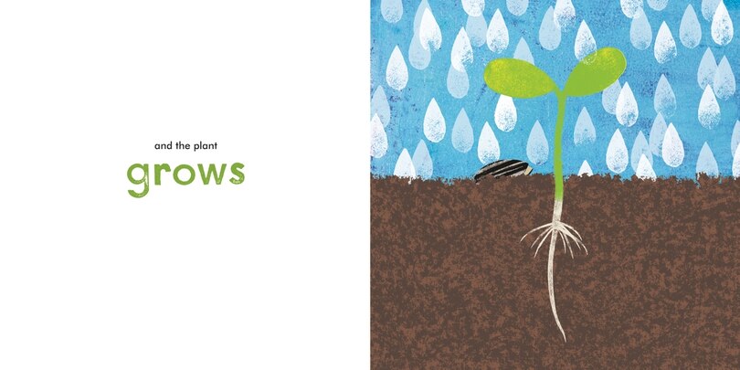 Sample content 3_A Seed Grows