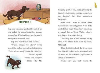 Sample content_A to Z Animal Mysteries #6: Find That Ferret!