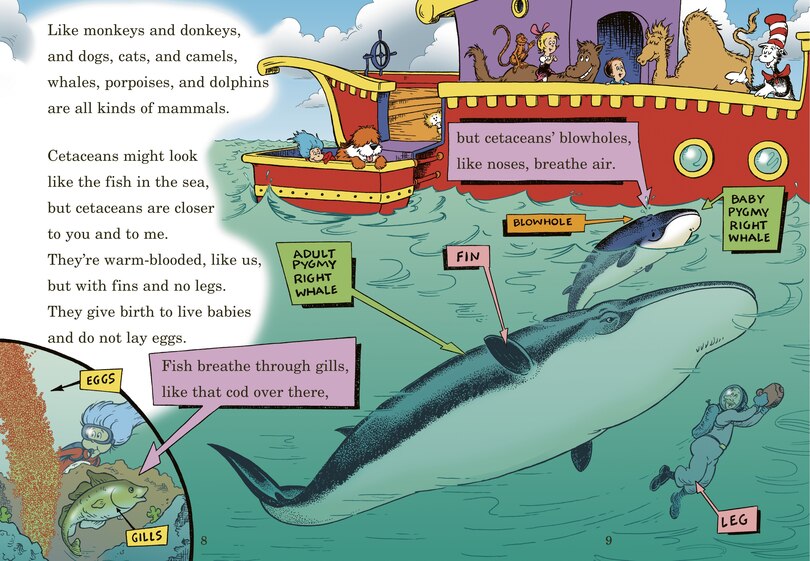 Sample content 2_A Whale of a Tale! All About Porpoises, Dolphins, and Whales