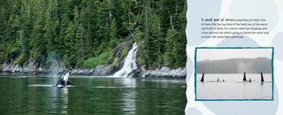 Sample content_A Whale's World