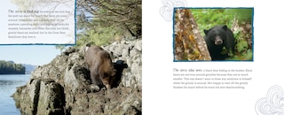 Sample content 2_A Whale's World