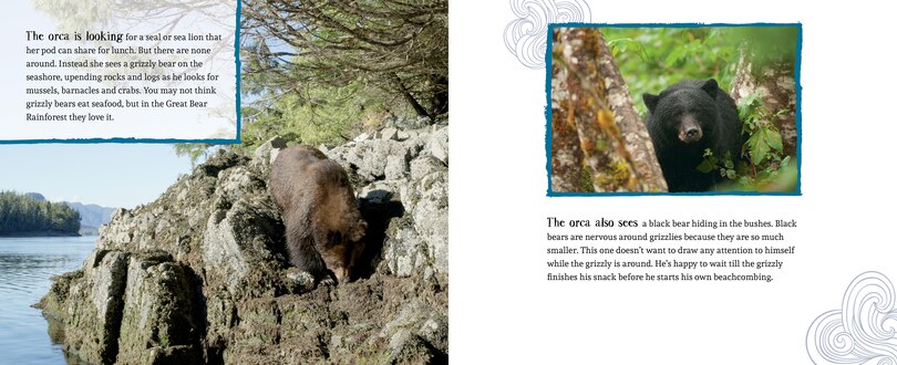 Sample content 2_A Whale's World
