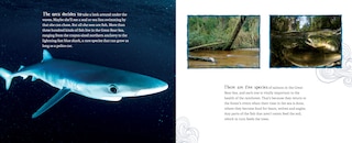 Sample content 3_A Whale's World