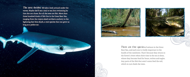 Sample content 3_A Whale's World