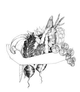 Sample content 2_A Wilder Way