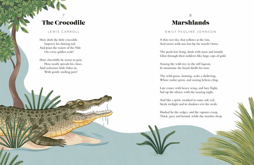 Aper&ccedil;u du contenu_A Year of Animal Poems