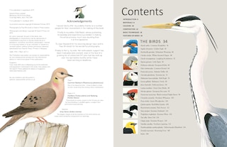 Sample content_A-z Of Bird Portraits