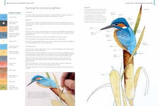 Sample content 4_A-z Of Bird Portraits