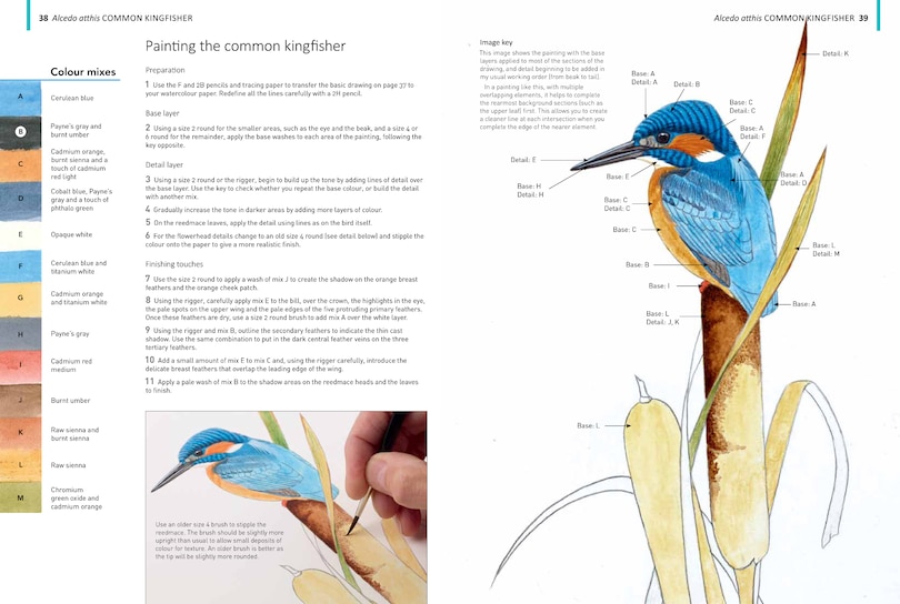 Sample content 4_A-z Of Bird Portraits