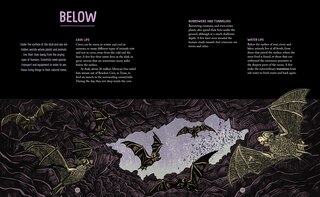 Sample content 5_Above, Below and Long Ago
