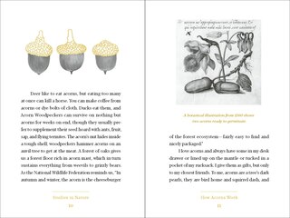 Sample content_Acorns
