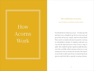 Sample content 2_Acorns