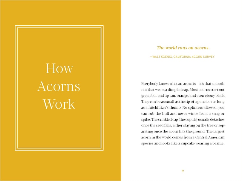 Sample content 2_Acorns