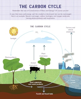 Sample content_Ada Twist's Big Project Book For Stellar Scientists