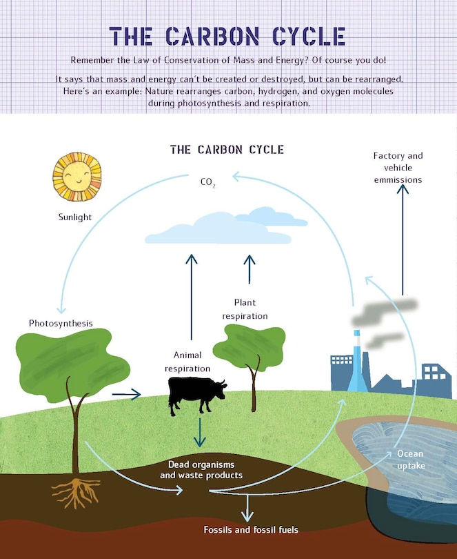 Sample content_Ada Twist's Big Project Book For Stellar Scientists