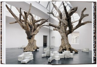 Sample content_Ai Weiwei. 40th Ed.