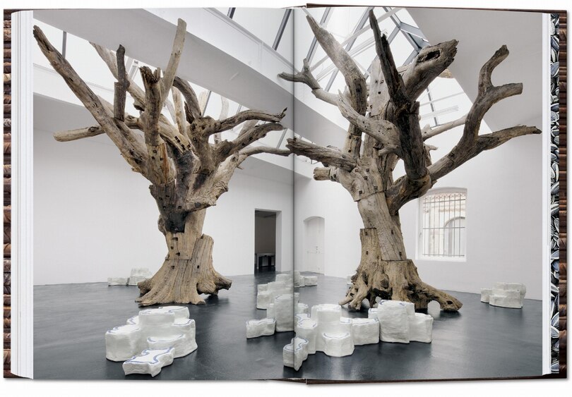 Sample content_Ai Weiwei. 40th Ed.