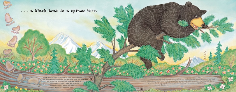 Aper&ccedil;u du contenu_Alaska's 12 Days Of Summer