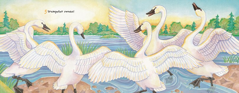 Aper&ccedil;u du contenu 2_Alaska's 12 Days Of Summer