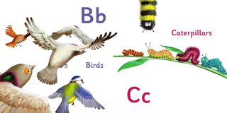 Sample content 2_Albert ABC