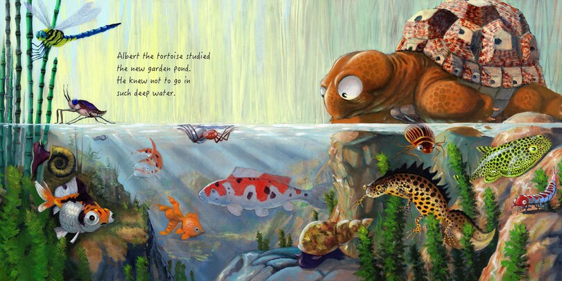 Sample content 5_Albert and the Pond