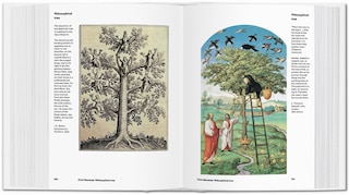 Aperçu du contenu_Alchemy & Mysticism