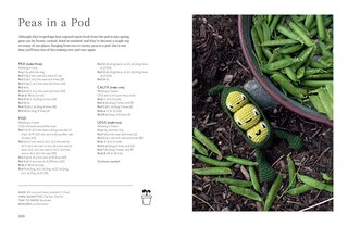 Aper&ccedil;u du contenu 3_Alexandra's Garden Vegetables