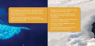 Sample content 3_All About Belugas