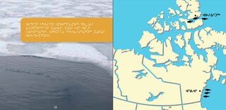 Sample content_All About Belugas