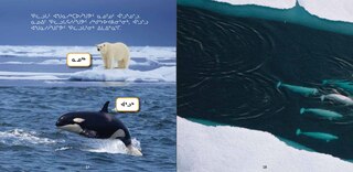 Sample content 2_All About Belugas
