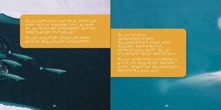Sample content 3_All About Belugas