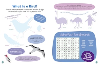 Sample content_All About Birds Sticker Activity Book