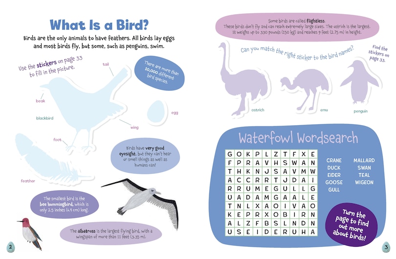 Sample content_All About Birds Sticker Activity Book