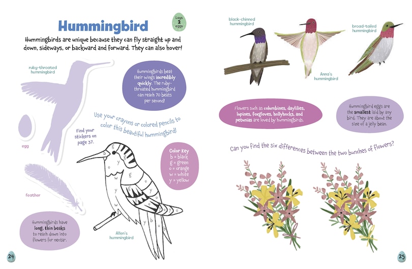 Sample content 3_All About Birds Sticker Activity Book