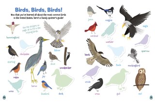 Sample content 4_All About Birds Sticker Activity Book