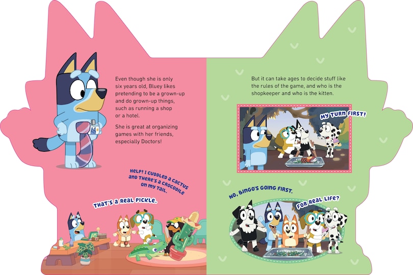 Sample content 4_All About Bluey