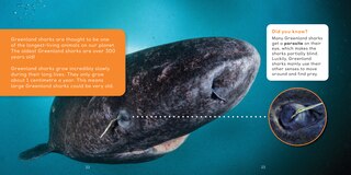 Sample content 2_All About Greenland Sharks
